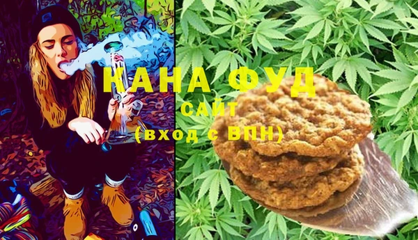 индика Заволжск