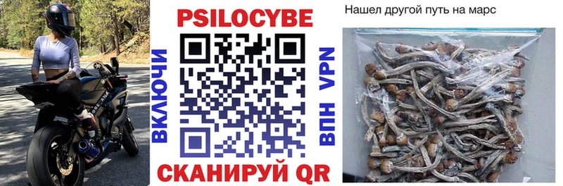 купить  сайты  Волчанск  Псилоцибиновые грибы Psilocybine cubensis 