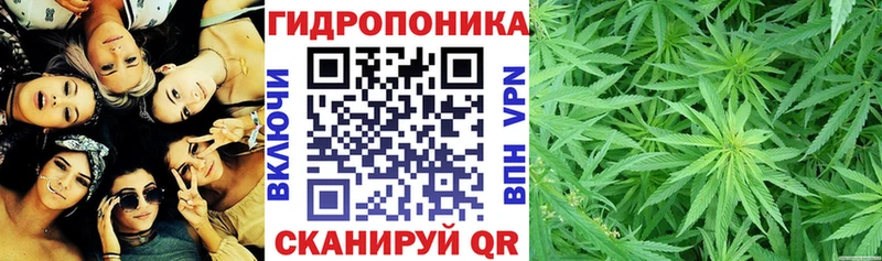 darknet наркотические препараты  МЕГА ONION  Волчанск  закладки  Марихуана Ganja 